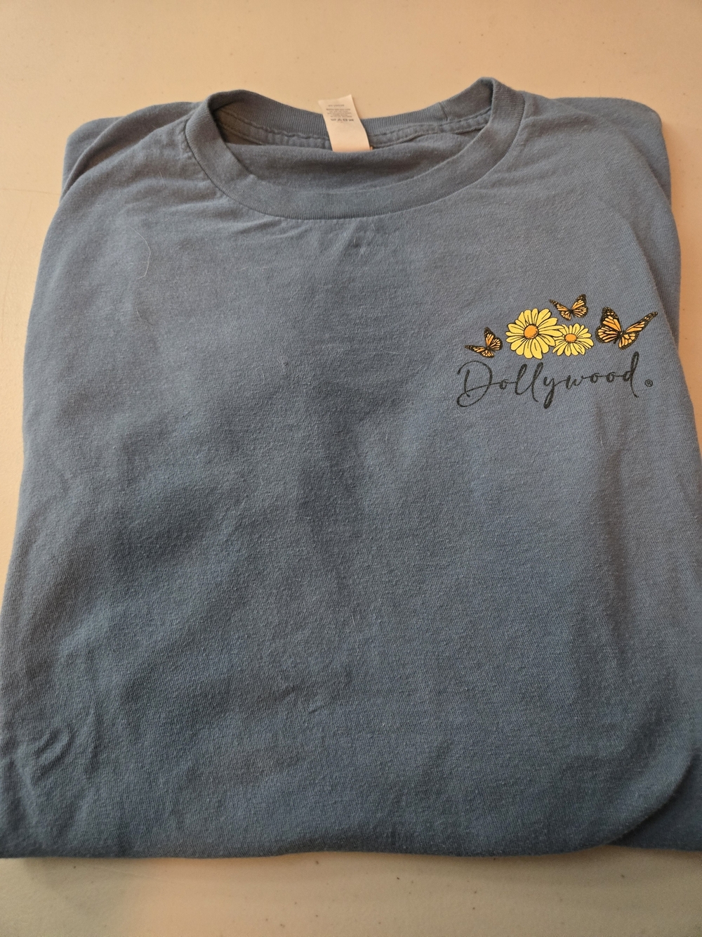 Official Dollywood Theme Park Butterfly & Daisy Graphic Tee